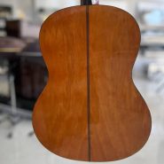 photo_2025-05-11_10-48-36