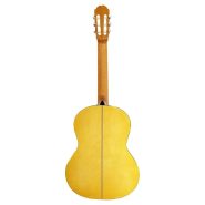 photo_2025-05-11_13-20-13