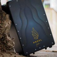 کاخن آنجل ANGEL پروفشنال مدل Bita signature - صوت و موزیک مقدم سبزوار